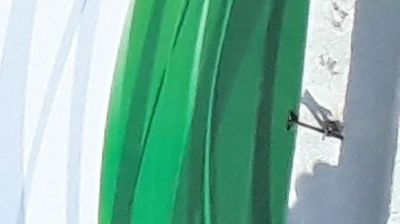 El icónico arco de La Villita en la Calle 26 de Chicago. (Belhú Sanabria / La Raza)