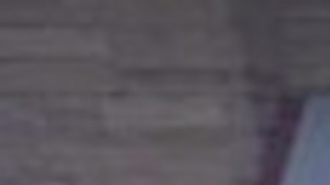 Una anciana de 70 años fue baleada mientras estaba sentada en su vehículo en el barrio de Hegewisch de Chicago.