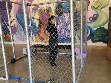 Proyecto Mariposa, el cual es una instalación de arte de una semana que llama la atención sobre la crisis fronteriza. Foto Cortesía Cecilia Garcia