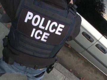 ICE realizó el operativo en varios condados.