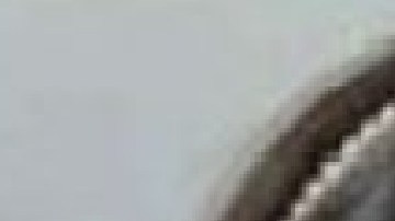 Minka Miller de siete años, Carmine Miller de 1 año y Geter Metlow de 11 años fueron vistos por última vez el 11 de agosto con su padre. Foto Cortesía