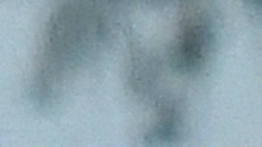 La empresa State Farm está organizando una feria de empleo para puestos híbridos, en persona y completamente remotos en Illinois.