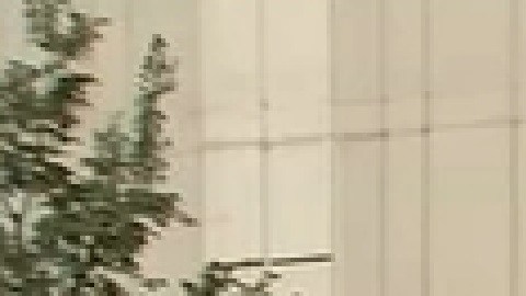 La Policía de Chicago dijo que la mujer de 24 años fue apuñalada en el cuello y murió por la gravedad de sus heridas.Foto captura WGN  