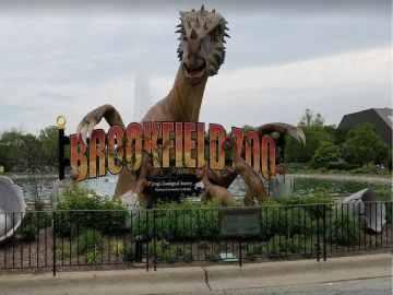 El zoológico Brookfield está abierto de 10 am a 5 pm entre semana y de 10 am a 6 pm los fines de semana. Foto Cortesía Zoológico Brookfield