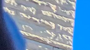 Residentes de La Villita se reunieron en la calle 26 y Ridgeway Avenue y construyeron una ofrenda móvil en memoria de Marc Nevarez y otras víctimas de la brutalidad policiaca. (Hillary Flores / La Raza)