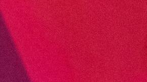 “Aprendí que si las generaciones anteriores podían lograr sus sueños, yo también podría hacerlo”, dice  Patricia Ferroni Holmberg.