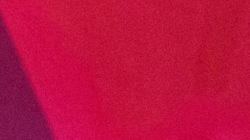 “Aprendí que si las generaciones anteriores podían lograr sus sueños, yo también podría hacerlo”, dice  Patricia Ferroni Holmberg.