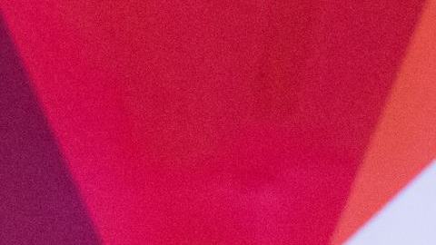 “Aprendí que si las generaciones anteriores podían lograr sus sueños, yo también podría hacerlo”, dice  Patricia Ferroni Holmberg.