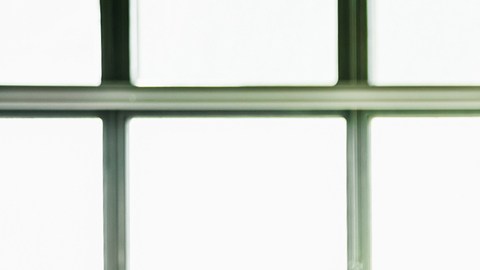 Portrait Of Young Office Manager