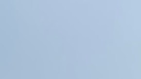 El Departamento de Bomberos de Chicago dijo que una grúa de construcción se volcó mientras estaba en uso. Foto captura Chicago Fire Media