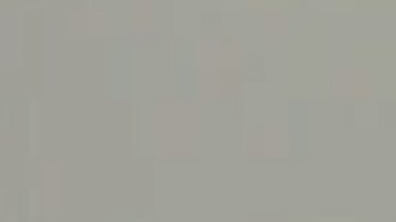 Adultos con discapacidad separan, enrollan y cuentan monedas a través del programa  'Coins for Keshet'. Foto captura Fox 32 Chicago