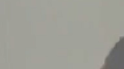 Adultos con discapacidad separan, enrollan y cuentan monedas a través del programa  'Coins for Keshet'. Foto captura Fox 32 Chicago