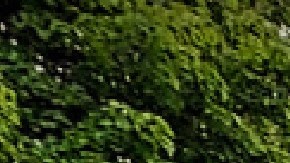 Los estudiantes de North Central College también pueden practicar con maniquíes que responden a la medicina simulada y más. Foto Google Maps