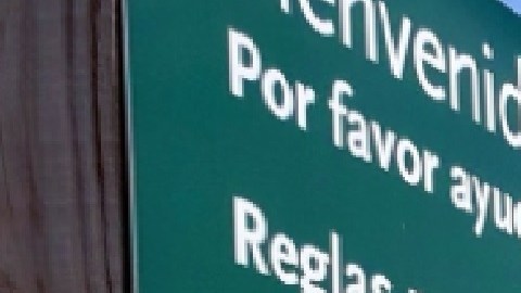 La investigación comenzó en marzo de 2020 cuando la Oficina del Inspector General del Distrito de Parques de Chicago recibió dos quejas de mujeres que anteriormente trabajaban como salvavidas