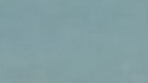 El distrito de parques también dijo que la presunta víctima negó haber sido sometida a conducta inapropiada mientras trabajaba como salvavidas. Foto Captura Fox 32 Chicago