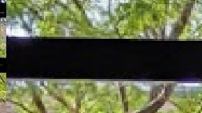 Algunos negocios de Chicago son citados por no cumplir el mandato de vacunación covid-19. Foto