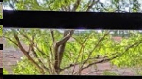 Algunos negocios de Chicago son citados por no cumplir el mandato de vacunación covid-19. Foto