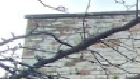 Parlor Pizza Bar con tres establecimientos en Chicago está bajo la lupa por supuestas violaciones laborales .