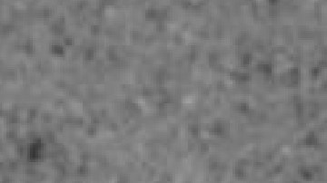 La gatillera Claudia Resendiz-Flores tiene tres hijos que están a su cuidado, está casada, pero separada de su esposo. Foto Departamento de Policía de Rolling Meadows