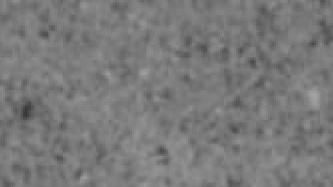 La gatillera Claudia Resendiz-Flores tiene tres hijos que están a su cuidado, está casada, pero separada de su esposo. Foto Departamento de Policía de Rolling Meadows