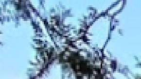 La Universidad de Chicago se ubicó como la décima mejor universidad del mundo.