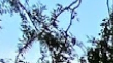 La Universidad de Chicago se ubicó como la décima mejor universidad del mundo.