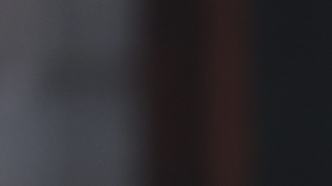 El presidente mexicano Andrés Manuel López Obrador visitó la Casa Blanca y tuvo un encuentro con el presidente estadounidense Joe Biden.