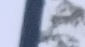 Un anuncio de la campaña para promover la vacunación contra el covid-19 de La Raza en un cartel espectacular en una calle de Chicago.