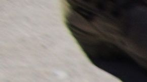 Armas decomisadas por las fuerzas de seguridad mexicanas. La gran mayoría proviene de Estados Unidos.