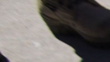 Armas decomisadas por las fuerzas de seguridad mexicanas. La gran mayoría proviene de Estados Unidos.