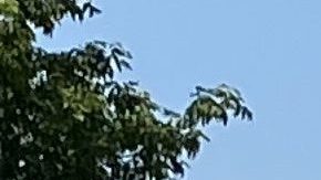 Vecinos de La Villita, organizadores comunitarios y activistas quieren que se revele el informe completo del Inspector General sobre la implosión fallida. Ellos creen que hubo negligencia por parte del Departamento de Salud Pública y el Departamento de Edificios de la Ciudad. (Cortesía Edith Tovar)