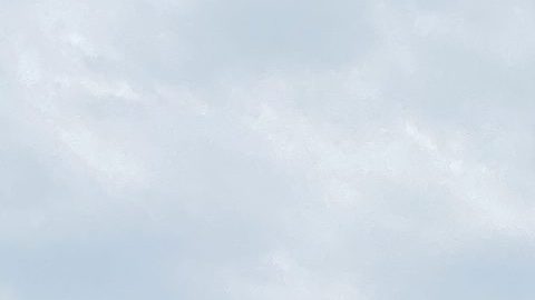 En una manifestación pasada activistas y vecinos de La Villita se reunieron frente a lo que fue la planta de carbón Crawford y cuyo terreno fue comprado por la empresa Hilco y hoy se ubica un centro de distribución de Target. (Cortesía Edith Tovar)