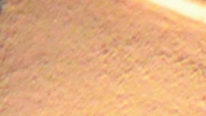 Trabajadores de la tortillería El Milagro de La Villita, miembros de la comunidad y líderes cívicos honraron la memoria de empleados de esa empresa que fallecieron a causa del covid-19. (Cortesía Shelly Ruzicka / Arise Chicago)