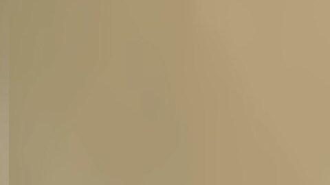 l presidente de la FOP John Catanzara busca ser reelegido. Foto captura ABC7 Chicago