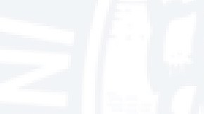 Socorro Ruiz de 76 años fue visto por última vez en La Villita. Foto Departamento de Policía de Chicago