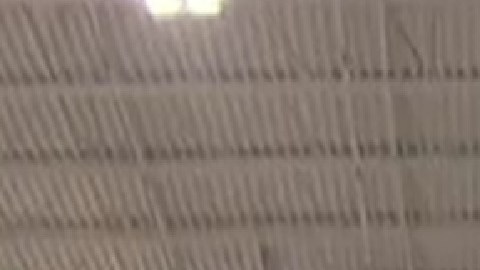 Según el Chicago Food Depository, alrededor del 14% de los habitantes de Chicago experimentan inseguridad alimentaria. Foto wttw