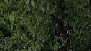 La ubicación de la imagen de captura es exactamente en la cuadra donde se encuentra el edificio de 48 unidades ubicado en la cuadra 900 norte Boulevard en Oak Park. Foto captura Google Maps