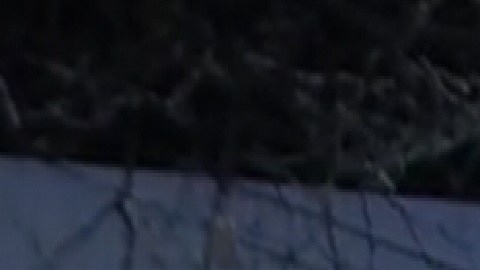 En el incidente murió un adolescente de 17 años y otros cuatro muchachos resultaron heridos, indicaron las autoridades. Foto captura Fox 32 Chicago