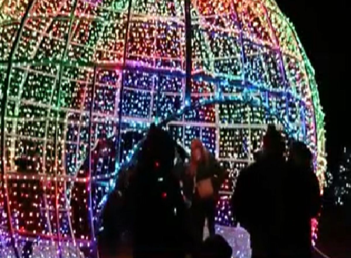 Los espectadores podrán disfrutar de excelentes fotografías navideñas en el festival de luces ‘Holiday Magic’ de Brookfield Zoo. Foto captura CBS2