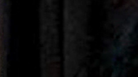 Recuerdan la memoria de Marlen Ochoa López y su hijo con altar en Pilsen. Foto captura WGN