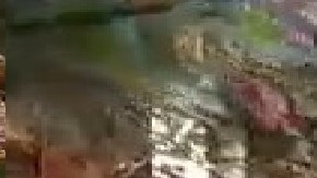 En caso de no contar con calefacción o no tener una vivienda, a los habitantes de Chicago se les recomienda acudir a los centros de calentamiento de la ciudad para mantenerse abrigado.