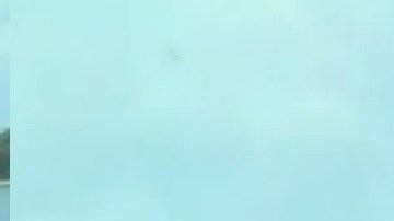 La pareja Luis Suárez y Norma Franco tenían planes de vacunarse contra el coronavirus para visitar a la familia después de sus nupcias, pero no lo lograron ya que se contagiaron fatalmente de covid-19.Foto captura ABC7 Chicago