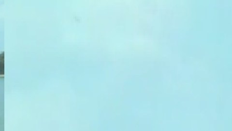 La pareja Luis Suárez y Norma Franco tenían planes de vacunarse contra el coronavirus para visitar a la familia después de sus nupcias, pero no lo lograron ya que se contagiaron fatalmente de covid-19.Foto captura ABC7 Chicago