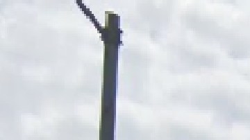 En un tiroteo ocurrido a plena luz del día tres personas fueron alcanzadas por disparos, entre ellas un niño de un año, dijo la policía. Foto Google Maps