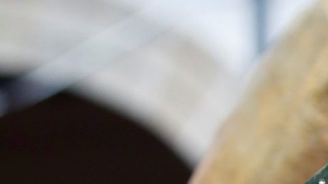 Vicente Fernández, durante un acto el 6 de octubre de 2019 en la ciudad de Guadalajara, México.