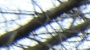 Estudiantes de cuatro escuelas de CPS abogan por un camino a la ciudadanía para los inmigrantes indocumentados. (Belhú Sanabria / La Raza)