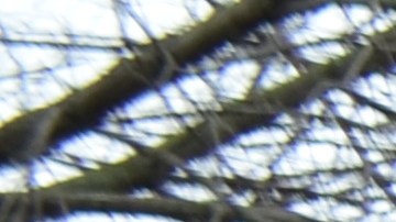 Estudiantes de cuatro escuelas de CPS abogan por un camino a la ciudadanía para los inmigrantes indocumentados. (Belhú Sanabria / La Raza)