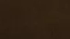 Gonzalo García, de 58 años  un conocido vendedor ambulante del barrio de Belmont Cragin en Chicago fue golpeado y robado por un grupo de adolescentes. Foto Tyler LaRiviere/Sun-Times (Extraída de la página de GoFundMe).