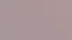 Kiera Reed de 15 años desapareció el domingo en el barrio de Rogers Park. Foto Departamento de Policía de Chicago