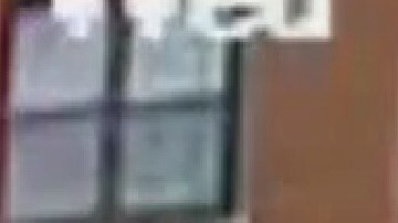 La Policía de Chicago está tras los pasos de un pistolero que mató a balazos a un hombre de 59 años en Lincoln Square. Foto Cortesía Fox 32 Chicago
